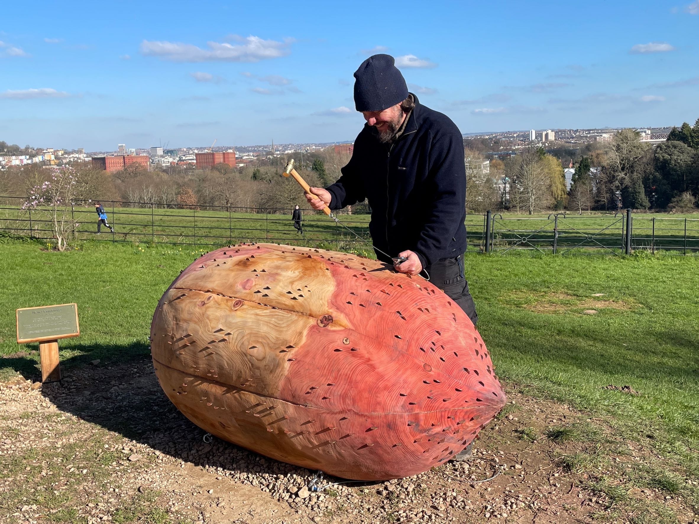 A man is wearing a black hat and jumper. He is holding a hammer. He is hammering a coin into a sculpture made of a wood of a giant seed. Behind him is green grass and blue skies with some floating clouds.