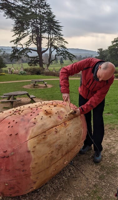 A man wearing a red sweatshirt hammers a coin into a  seed sculpture