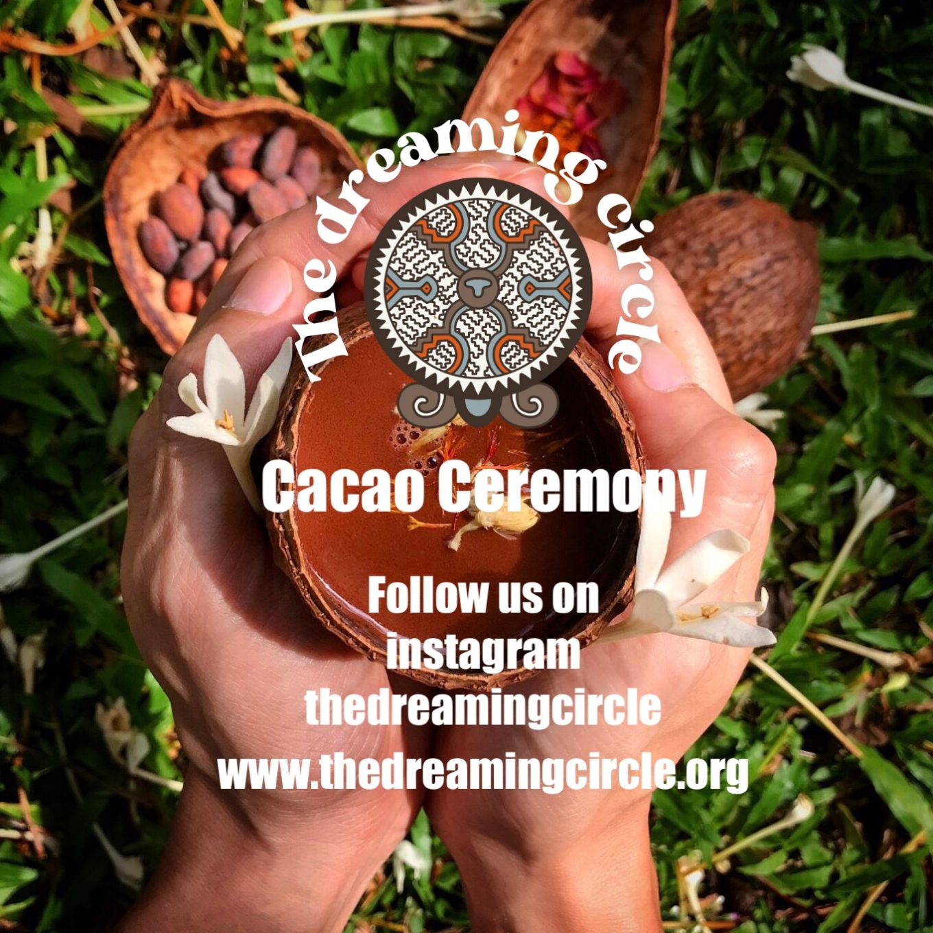 poster design for cacao ceremony featuring a pair of hands cupping a bowl of liquid with cacao seeds