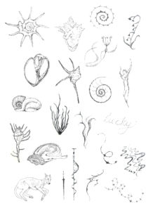 Detailed illustrations of varus small sea creatures and fauna